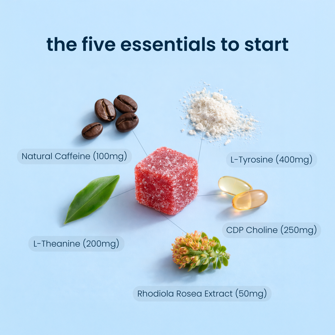 Momenta Focus Gummies